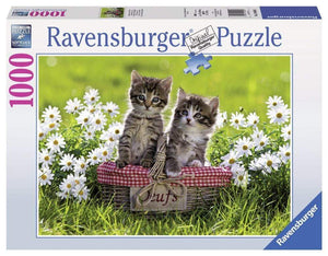 Ravensburger Jigsaws Picnic in the Meadow (1000pc) Ravensburger