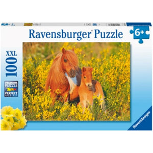 Ravensburger Jigsaws Shetland Ponies (100pc) Ravensburger