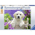 Ravensburger Jigsaws Sweet Golden Retriever (500pc) Ravensburger