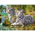 Ravensburger Jigsaws White Cat (500pc) Ravensburger