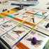 Stonemaier Games Board & Card Games Wingspan - European Expansion