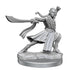 WizKids Miniatures D&D Frameworks Elf Monk Male