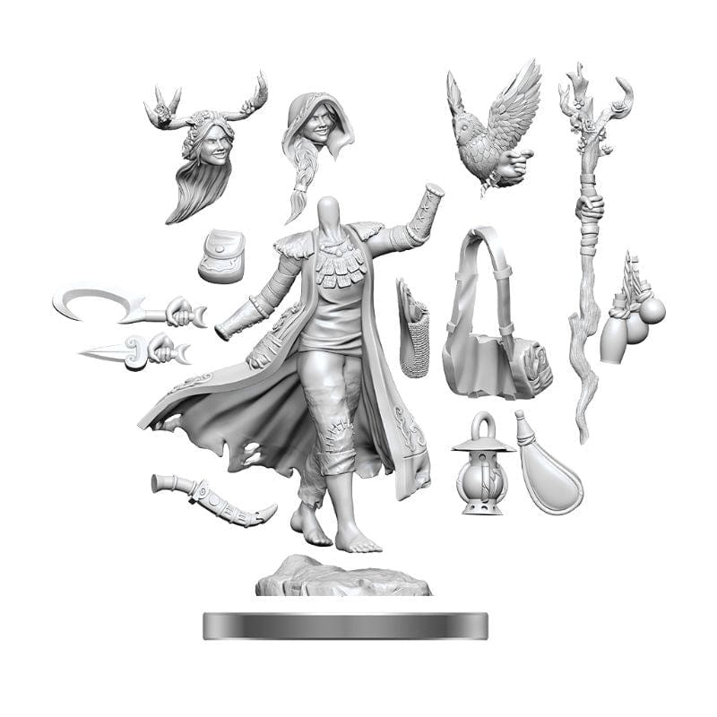 WizKids Miniatures D&D Frameworks Human Druid Female