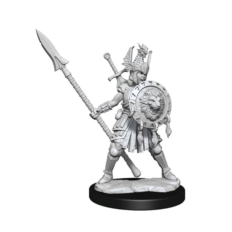 WizKids Miniatures D&D Frameworks Human Fighter Female