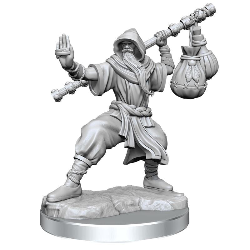 WizKids Miniatures D&D Frameworks Human Monk Male