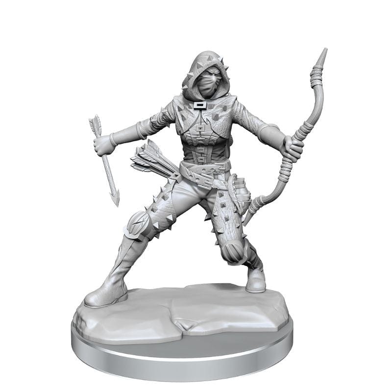 WizKids Miniatures D&D Frameworks Human Rogue Female