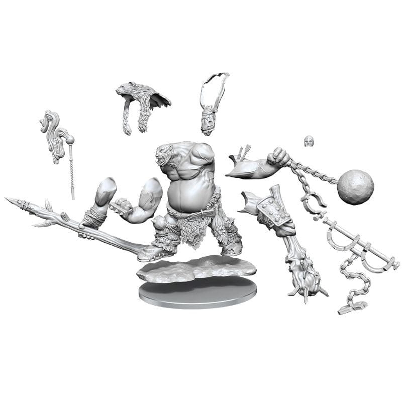 WizKids Miniatures D&D Frameworks Ogre
