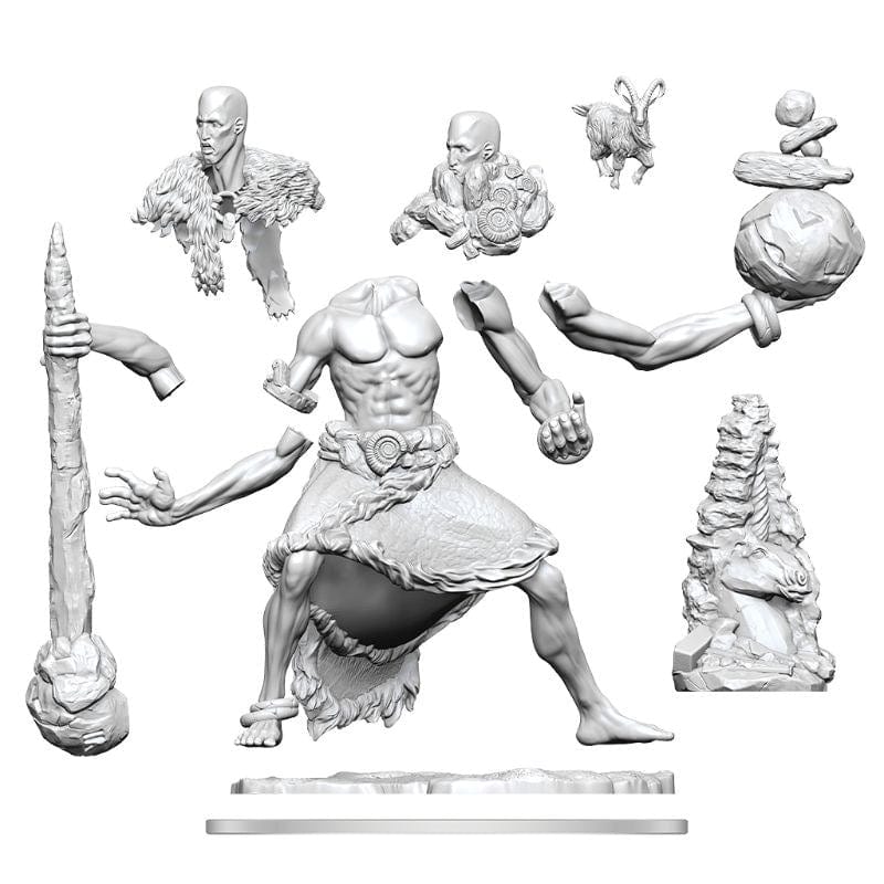 WizKids Miniatures D&D Frameworks Stone Giant