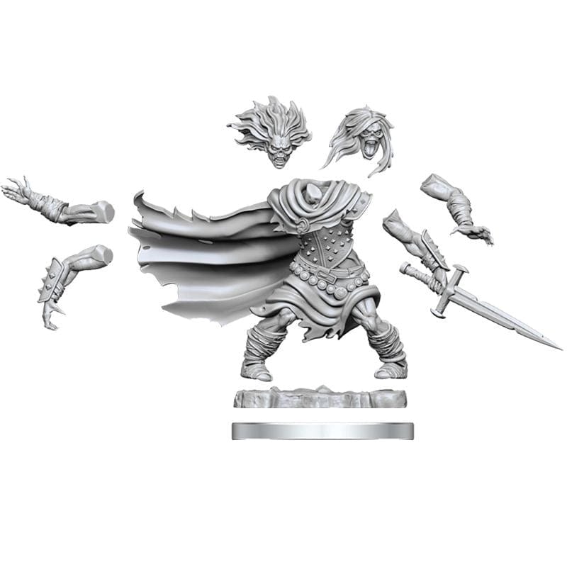 WizKids Miniatures D&D Frameworks Wight