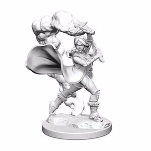 WizKids Miniatures Wizkids Unpainted Miniatures - Deep Cuts - Human Female Cleric