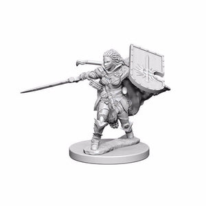 WizKids Miniatures Wizkids Unpainted Miniatures - Deep Cuts - Human Female Paladin