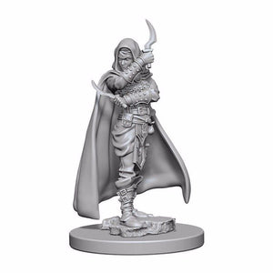 WizKids Miniatures Wizkids Unpainted Miniatures - Deep Cuts - Human Female Rogue