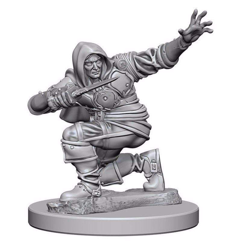 WizKids Miniatures Wizkids Unpainted Miniatures - Deep Cuts - Human Male Rogue