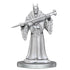 WizKids Miniatures Wizkids Unpainted Miniatures - Magic The Gathering - Lord Xander the Collector