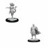 WizKids Miniatures Wizkids Unpainted Miniatures -Â Nolzurâs - Autumn Eladrin and Summer Eladrin