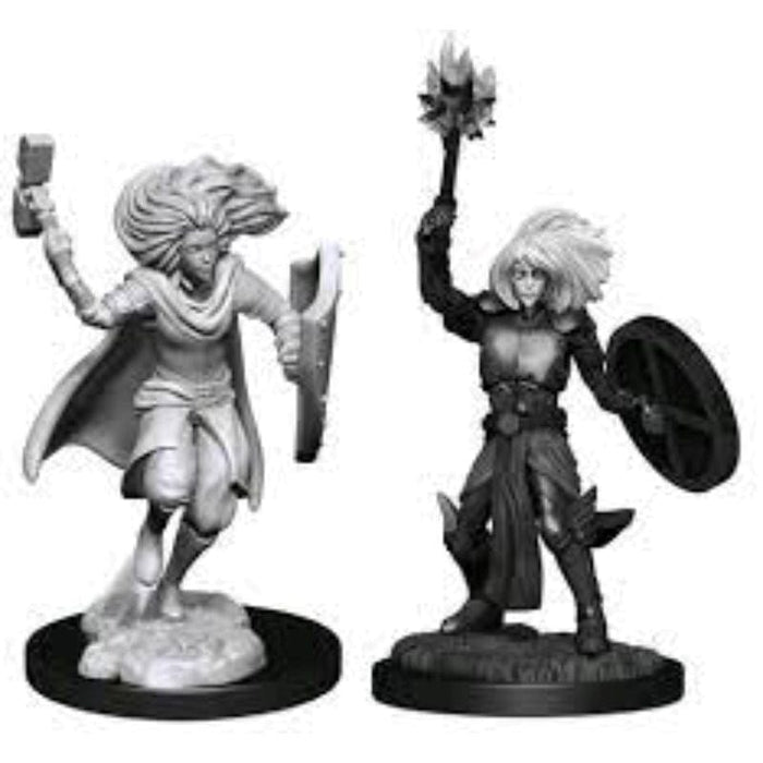 Wizkids Unpainted Miniatures - Nolzur's - Changeling Cleric