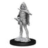 WizKids Miniatures Wizkids Unpainted Miniatures - Nolzurâs - Darkling Elder and Darklings