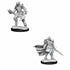 WizKids Miniatures Wizkids Unpainted Miniatures -Â Nolzurâs - Dragonborn Fighter Female