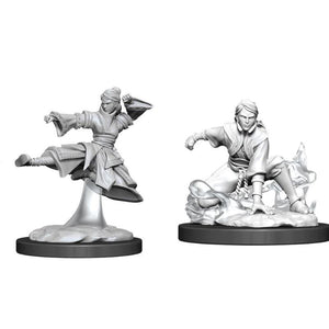 WizKids Miniatures Wizkids Unpainted Miniatures - Nolzur's - Female Human Monk