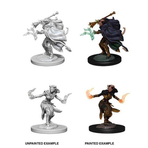 WizKids Miniatures Wizkids Unpainted Miniatures - Nolzur's - Female Tiefling Warlock