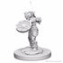 WizKids Miniatures Wizkids Unpainted Miniatures - Nolzur's - Goblins