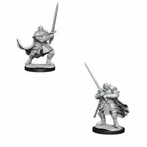 WizKids Miniatures Wizkids Unpainted Miniatures - Nolzur's - Half-Orc Paladin Male