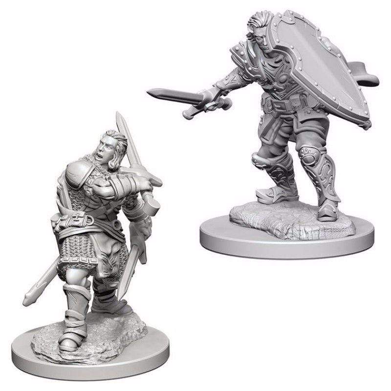 WizKids Miniatures Wizkids Unpainted Miniatures - Nolzur's - Human Male Paladin