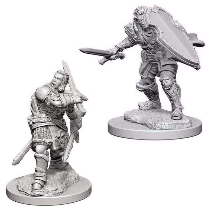 Wizkids Unpainted Miniatures - Nolzur's - Human Male Paladin (Wave 3)