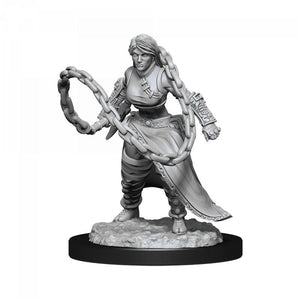 WizKids Miniatures Wizkids Unpainted Miniatures - Nolzur's - Human Monk Female