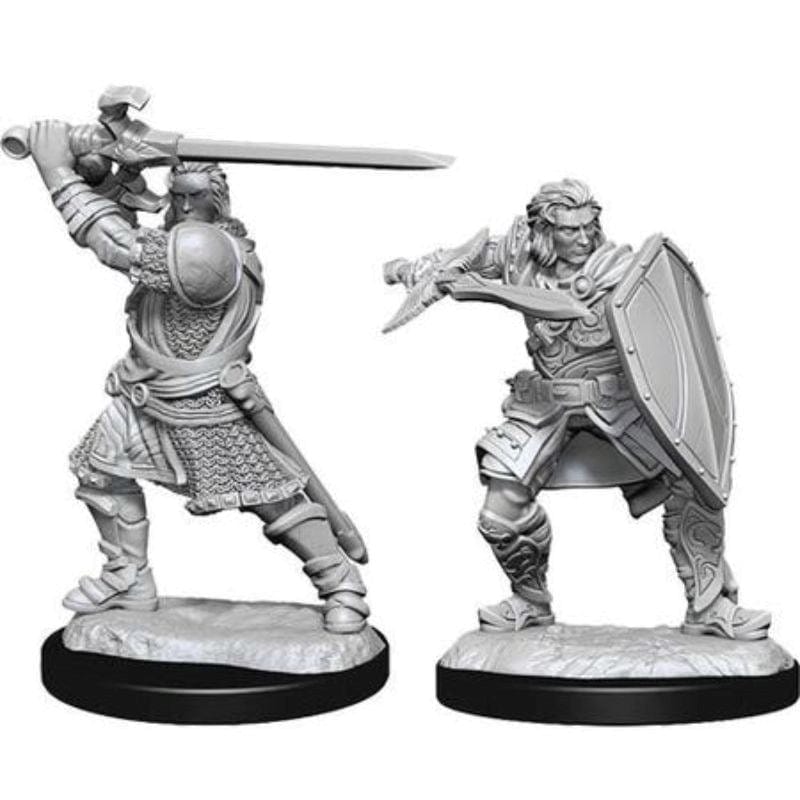 WizKids Miniatures Wizkids Unpainted Miniatures - Nolzur's - Human Paladin Male