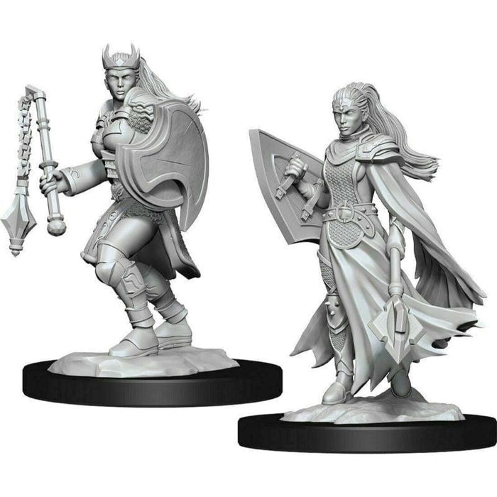 Wizkids Unpainted Miniatures - Nolzur's - Kalashtar Cleric Female