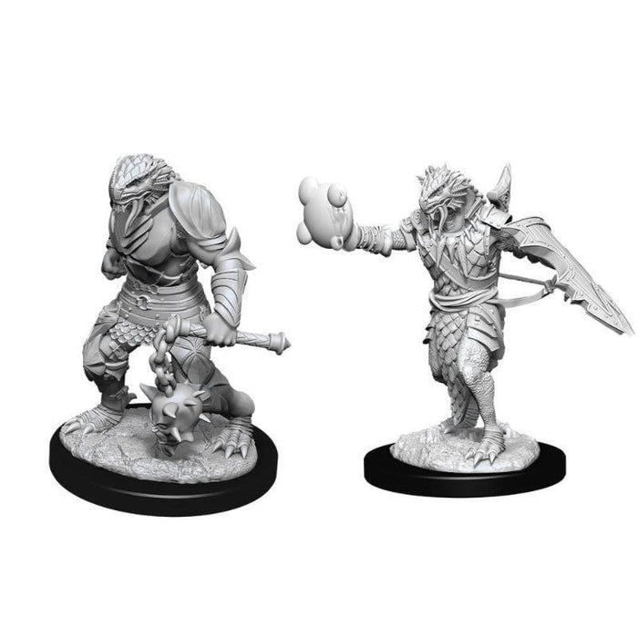 Wizkids Unpainted Miniatures - Nolzur's - Male Dragonborn Paladin