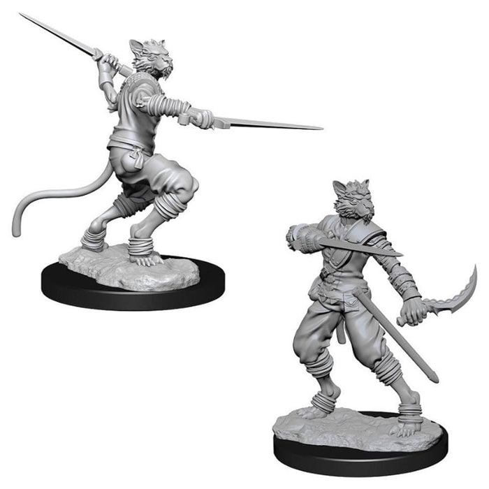 Wizkids Unpainted Miniatures - Nolzur's - Male Tabaxi Rogue