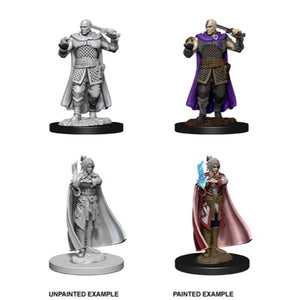 Wizkids Miniatures Wizkids Unpainted Miniatures - Nolzur's - Minsc & Delina