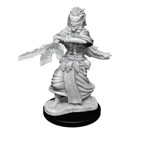 WizKids Miniatures Wizkids Unpainted Miniatures - Nolzur's - Night Hag & Dusk Hag