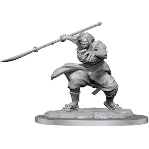 WizKids Miniatures Wizkids Unpainted Miniatures - Nolzur's - Oni Female