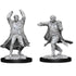 WizKids Miniatures Wizkids Unpainted Miniatures - Nolzur's - Revenant