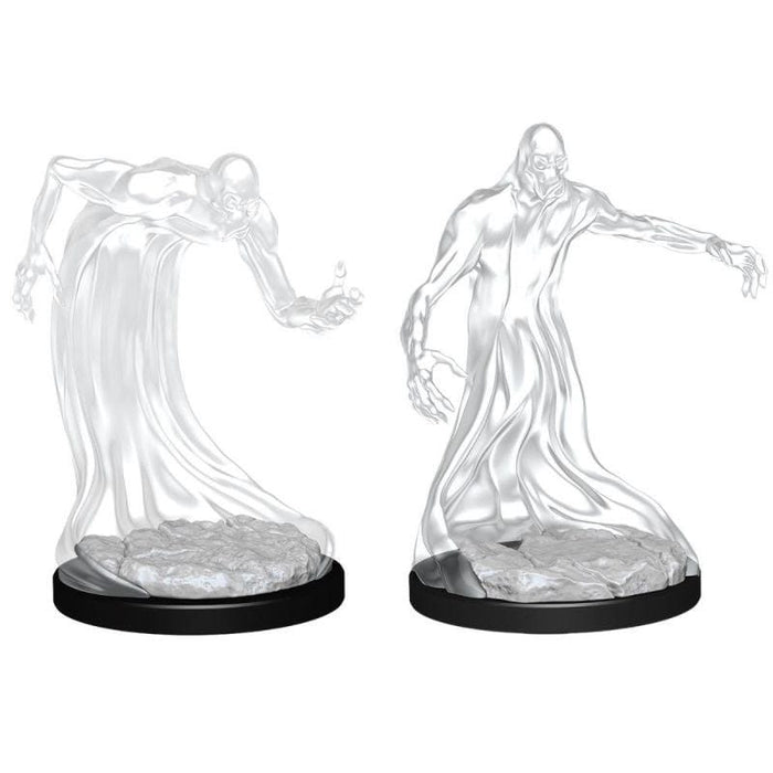 Wizkids Unpainted Miniatures - Nolzur's - Shadow