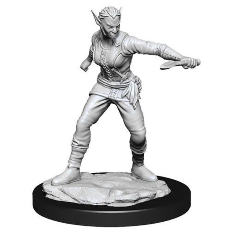 Wizkids Miniatures Wizkids Unpainted Miniatures - Nolzur's - Shifter Female Rogue