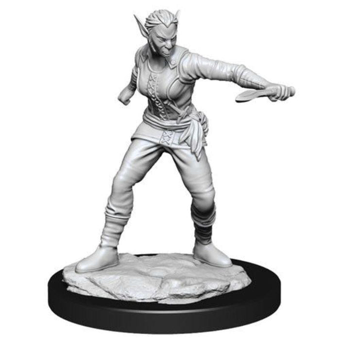 Wizkids Unpainted Miniatures - Nolzur's - Shifter Female Rogue