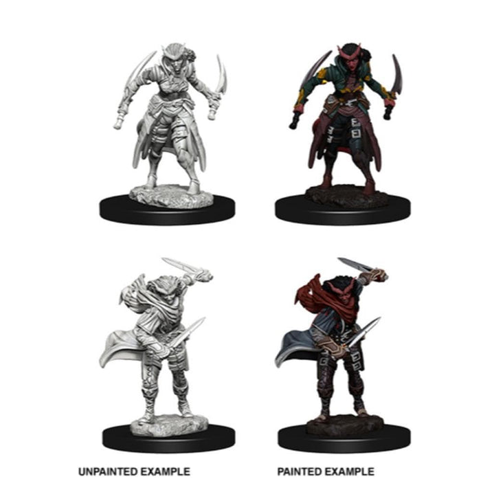 Wizkids Unpainted Miniatures - Nolzur's - Tiefling Female Rogue