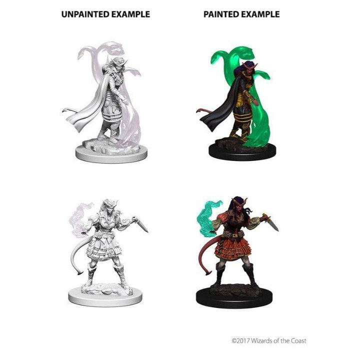 Wizkids Unpainted Miniatures - Nolzur's - Tiefling Female Sorcerer