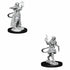 WizKids Miniatures Wizkids Unpainted Miniatures -Â Nolzurâs - Tiefling Sorcerer Female