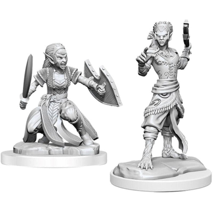 Wizkids Unpainted Miniatures - Nolzurs - Shifter Fighter