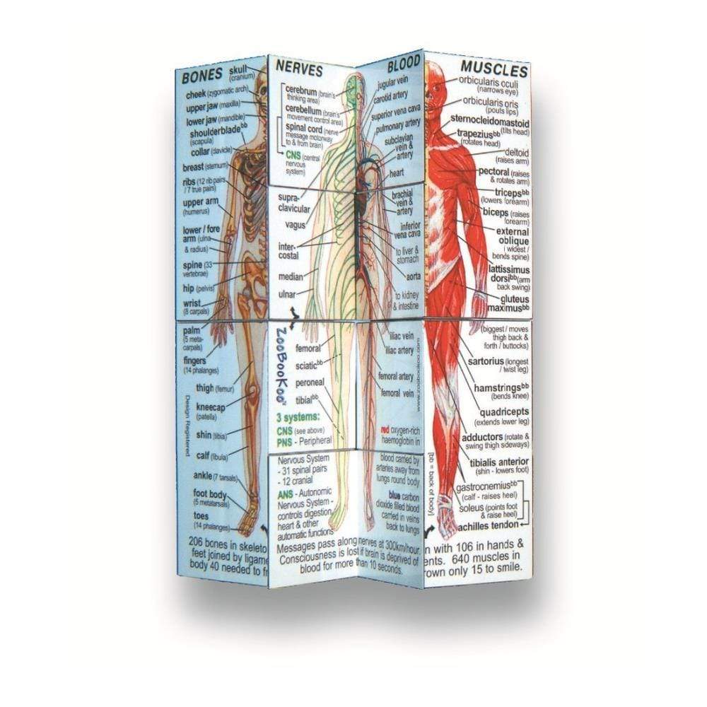 ZooBooKoo Novelties Zoobookoo - Human Body